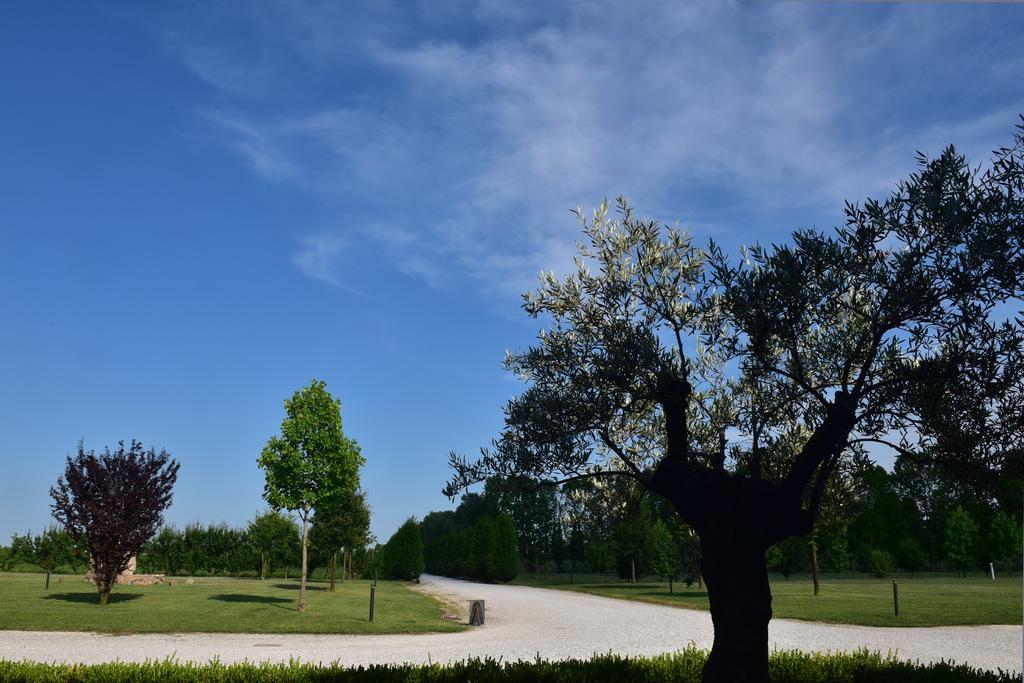 Tenuta Monterosso Feriole エクステリア 写真